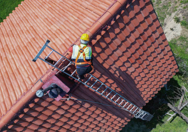 Best Roof Moss and Algae Removal  in Yakima, WA